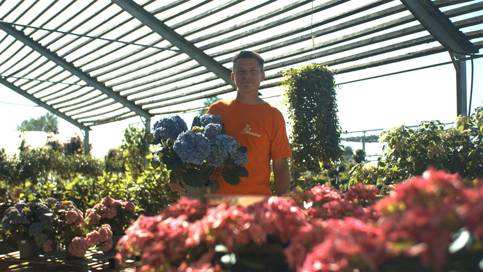 Blumenhof Kaufen wo’s wächst Blumen Pflanzen Shop