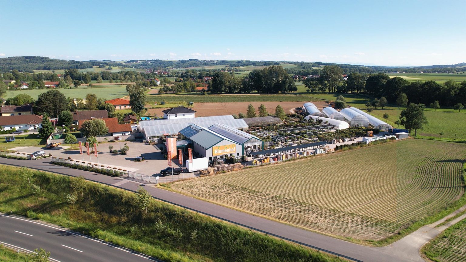 Blumenhof Fraham Blumenhof Kaufen wo’s wächst