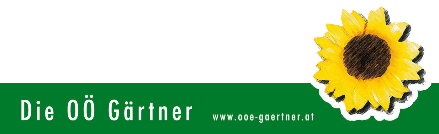 Über uns Blumenhof Kaufen wo’s wächst